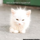 Фотография Анны Анны