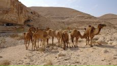 Олег Евсюков фотография #38 (источник - https://vk.com/id14283329)