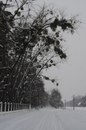 Борисфен Укрїнський фотография #8 (источник - https://vk.com/id158641288)