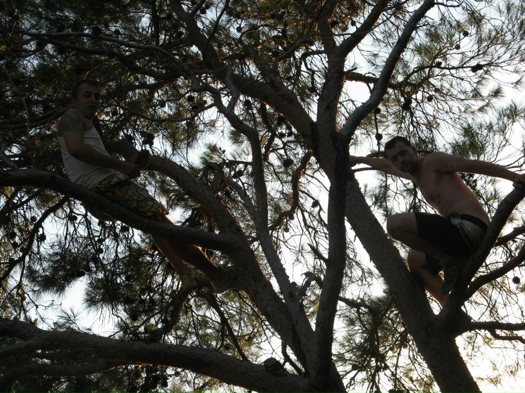 Cucumber Jam фотография #50