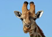 Фотография Тимонина Павла