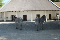 Фотография Алексеева Алексея