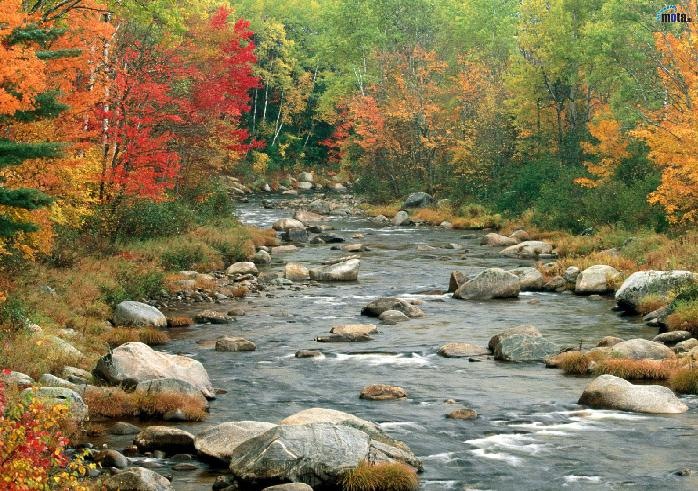 Оля Колесник фотография #22