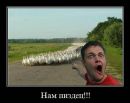 Ігор Огородник фотография #23 (источник - https://vk.com/id158621888)