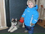 Фотография Пищева Дениса