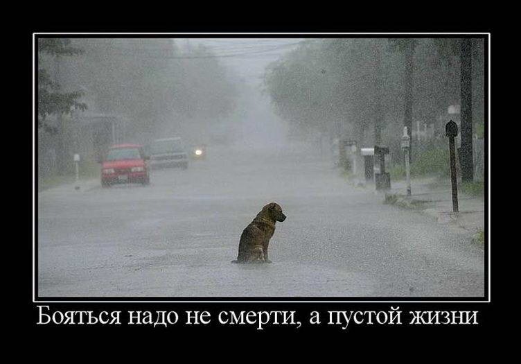 Сергей Шредер фотография #24