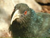 Фотография Казаков Ярослав