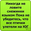 Іванка Недайхлєбова фотография #49 (источник - https://vk.com/id140669508)