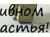 Дмитрий Писарев фотография #31 (источник - https://vk.com/id17475470)