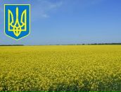 Коля Ніколайчук фотография #46 (источник - https://vk.com/id42301973)