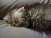 Ангеліна Нагорна фотография #9 (источник - https://vk.com/id59811045)