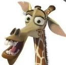 Фотография Дружининой Елены