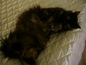 Фотография Анджинь Натальи