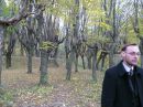 Робін Гуд фотография #16 (источник - https://vk.com/id91958165)