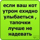 Ксюха Онишків фотография #15 (источник - https://vk.com/id137030410)