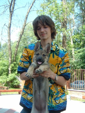 №19, Степан Фоменко, 37 лет, Химки №19, Степан Фоменко, 37 лет, Химки