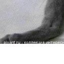 Вова Іщенко фотография #16 (источник - https://vk.com/id152020108)