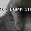 Вова Іщенко фотография #18 (источник - https://vk.com/id152020108)