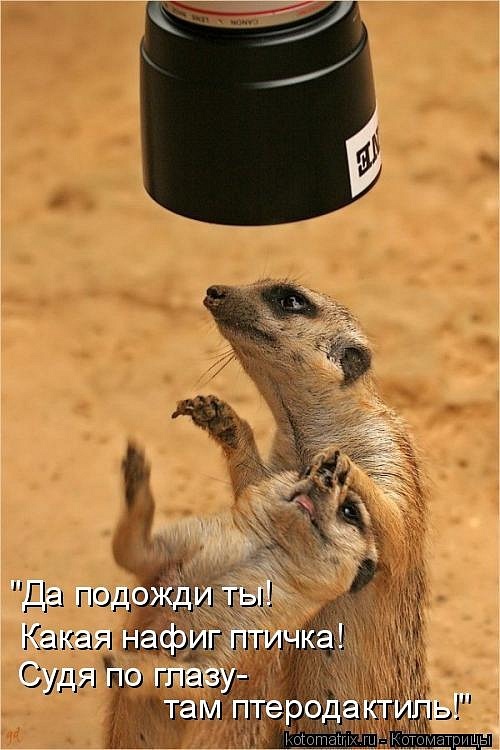 Ирина Левченко фотография #43