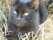 Liya Rf фотография #6 (источник - https://vk.com/id7710859)