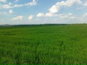 Олексій Бобик фотография #19 (источник - https://vk.com/id82122187)