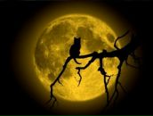 Фотография Эхте Елены