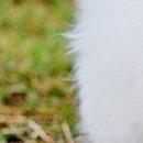 Іванна Панчук фотография #46 (источник - https://vk.com/id70090382)