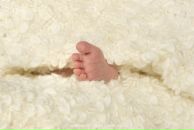 Фотография Мироновой Светланы