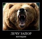 Андрей Павлов фотография #25 (источник - https://vk.com/id90357390)