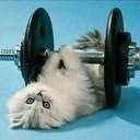 Фотография Столбова Степана