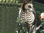 Фотография Багацкого Александра