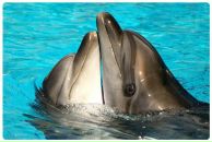 Фотография Куриловой Ляны