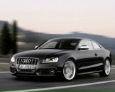 Рома Каліщук фотография #49 (источник - https://vk.com/id92638694)