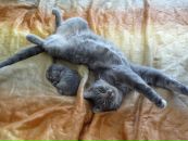 Фотография Катерина Фёдорова