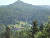 Анастасія Рохманюк фотография #11 (источник - https://vk.com/id169538697)