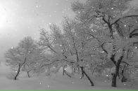 Фотография Миронова Александра