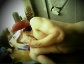 Фотография Решетникова Макса