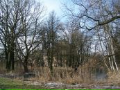 Жаннин Вильхайн фотография #39 (источник - https://vk.com/id1082585)