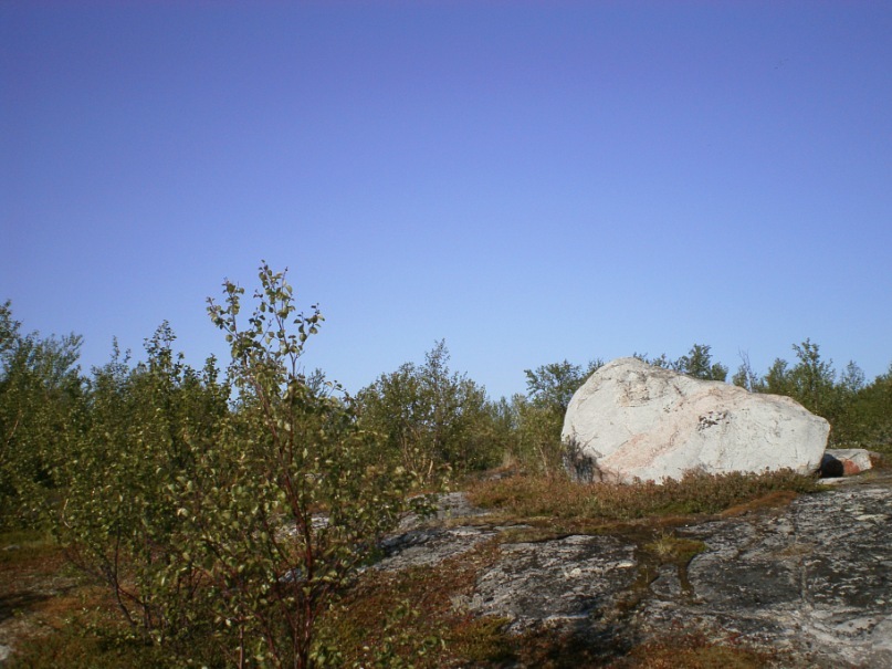 Саша Шляхов фотография #41