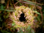 Фотография Рузановой Дины