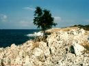 Марія Кухарик фотография #46 (источник - https://vk.com/id151381634)