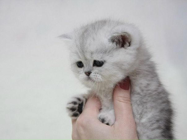 Катя Ноженко фото №6