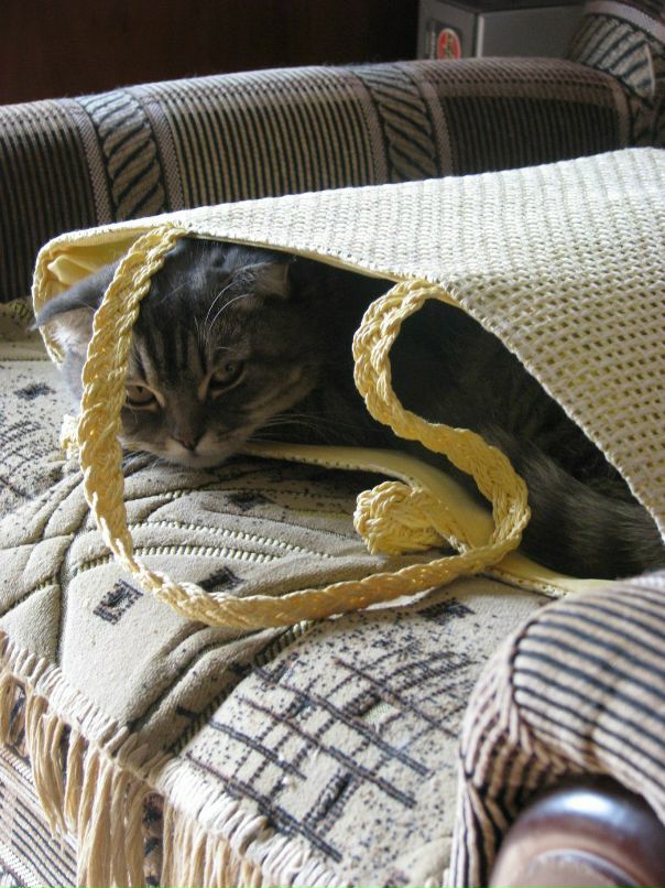 Сергей Липченко фотография #13