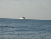 Алина Иванец фотография #35 (источник - https://vk.com/id59805437)