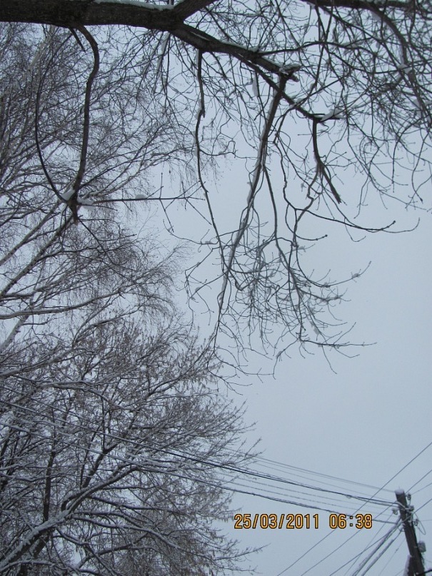 Ольга С фотография #8