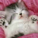 Альонка Оноприєнко фотография #17 (источник - https://vk.com/id166365957)