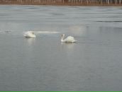 Βалерий Κотов фотография #21 (источник - https://vk.com/id108016378)