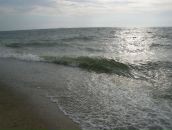 Вікторія Фаста фотография #6 (источник - https://vk.com/id53082972)