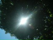 Олег Вівчарик фотография #48 (источник - https://vk.com/id11739997)