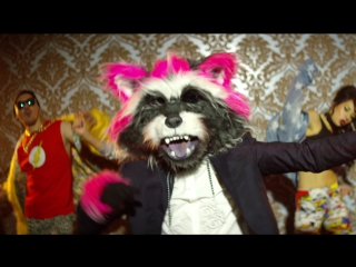 Премьера! DOGGY DOGGY - Енот (06.03.2017)